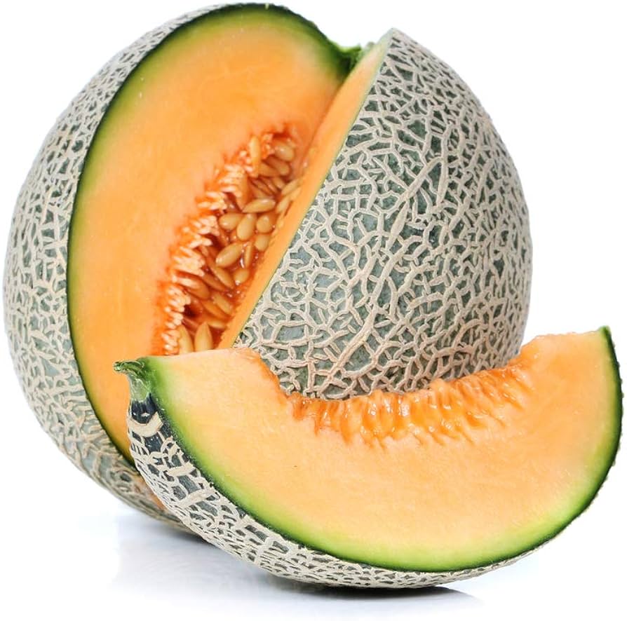 Cantaloupe (‘Heart of Gold’ melon) for planting in garden